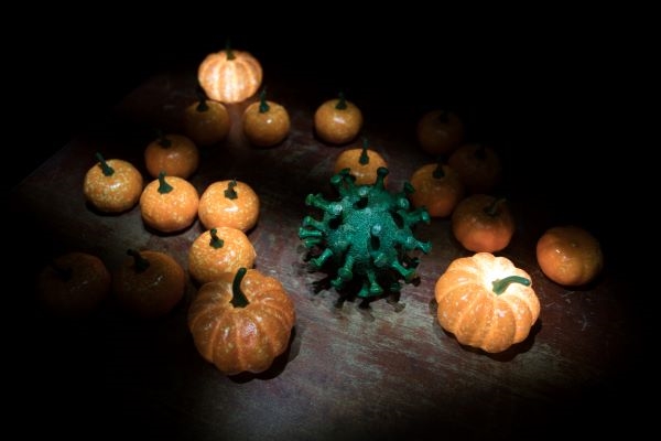 virus on table with fall mini pumpkins