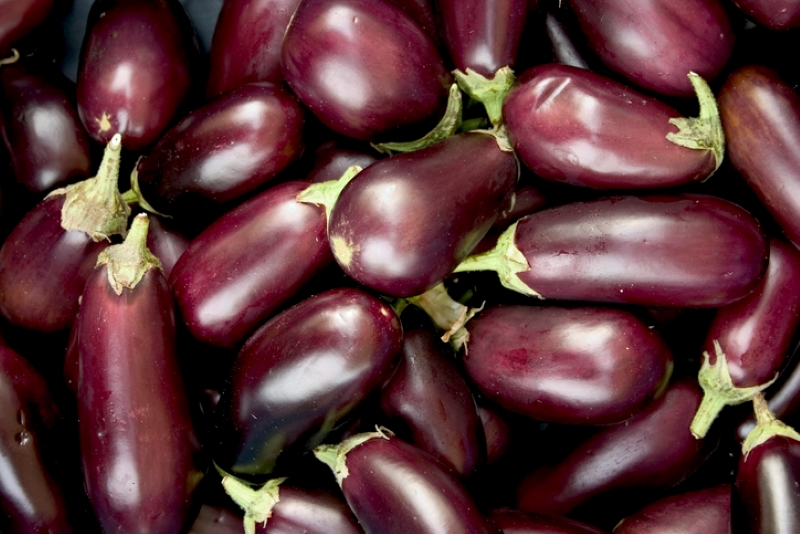 image of fresh eggplants