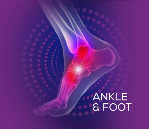 Ankle and Foot