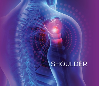 Shoulder